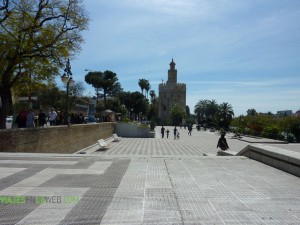 La Torre del Oro